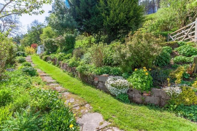Garden 9.jpg