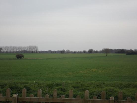 Field Views