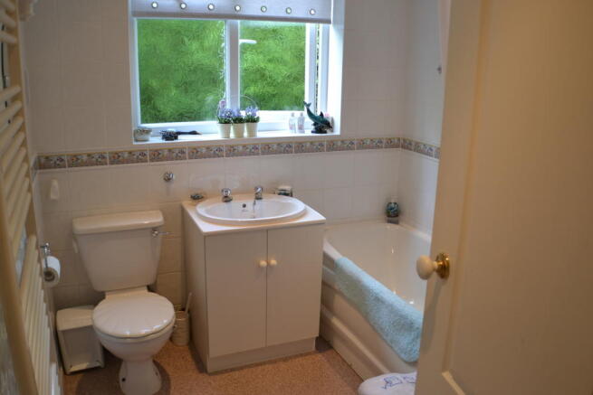Photo 10