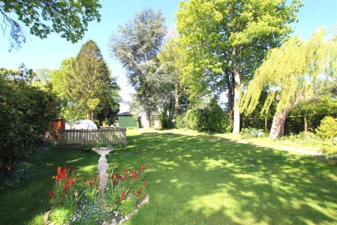 Garden 5.JPG