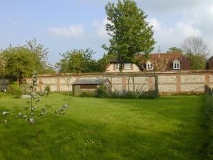 From the Orchard