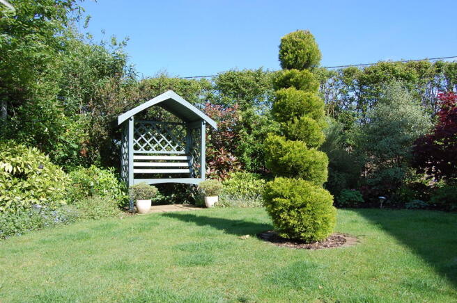 Photo 19