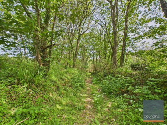Photo 38