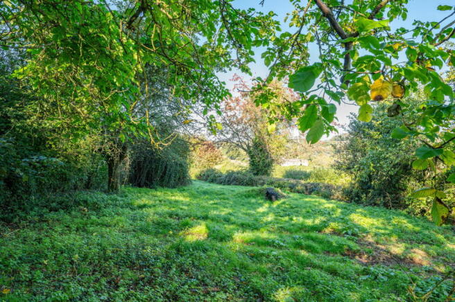 Photo 22