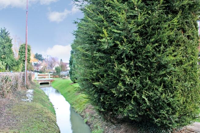 Brook At Front Of Property