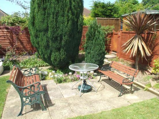 Patio Area