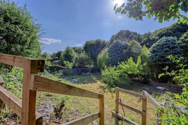 Further Views Of The Garden