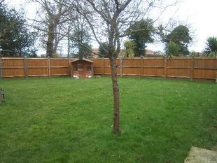 Outside Rear Garden
