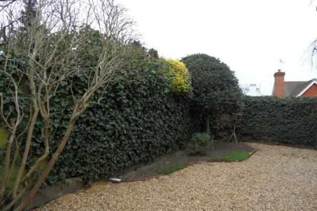 Garden 3