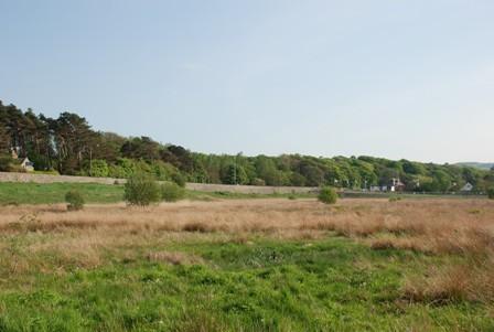 Field To Side