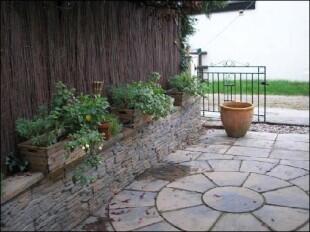 Courtyard garden.