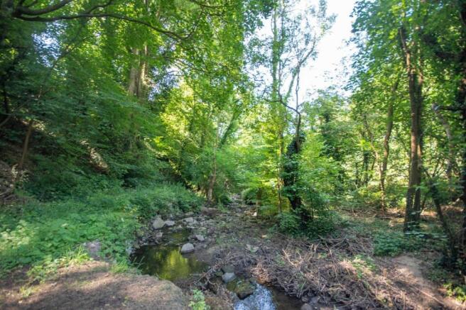 The Bordering Stream