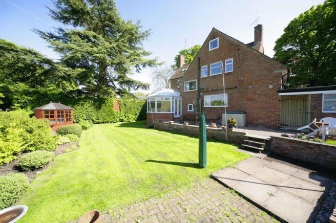 sunny garden