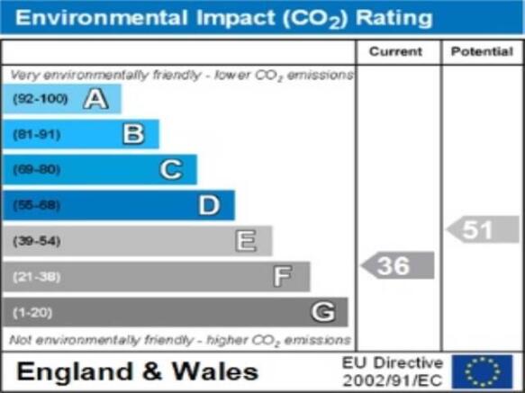 ENVIRONMENTAL IMPACT
