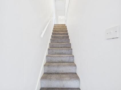 The Avenue, London, N17