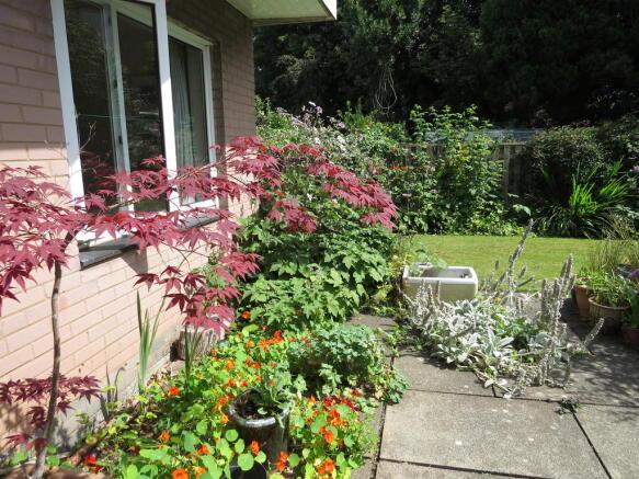 Photo 21