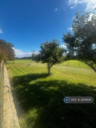 Orchard