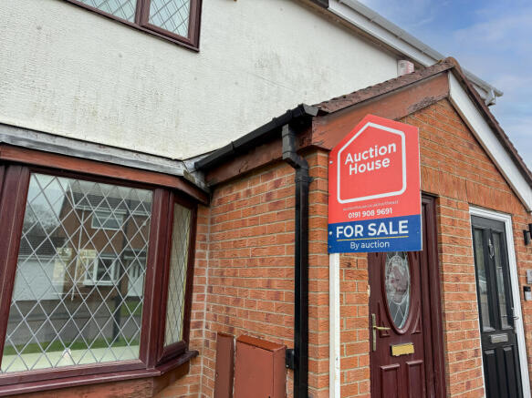 IMG 1230 2 T202601251308.jpg