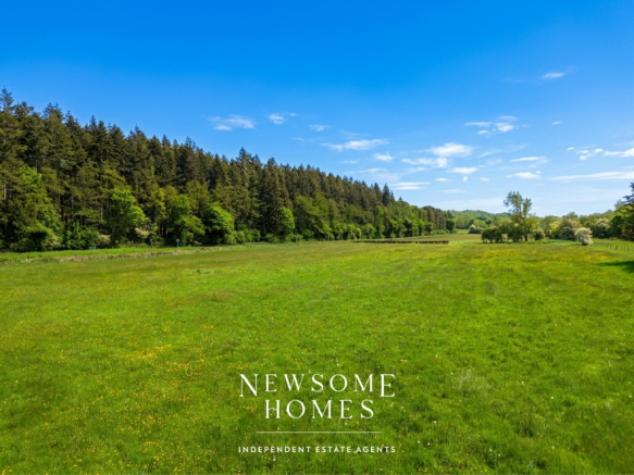 Countryside Views