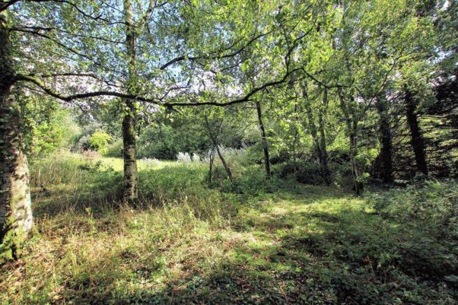 Woodland