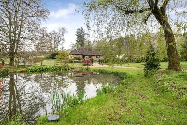 Pond