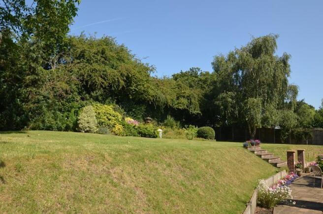 patio and communal grounds