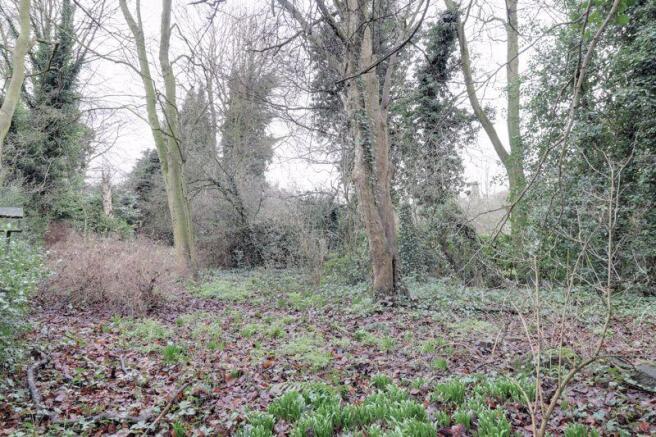 Large Woodland...