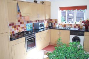 Picture No.02