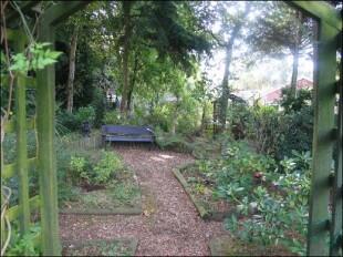 Wooded Area