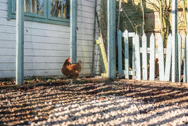 Chicken Coop