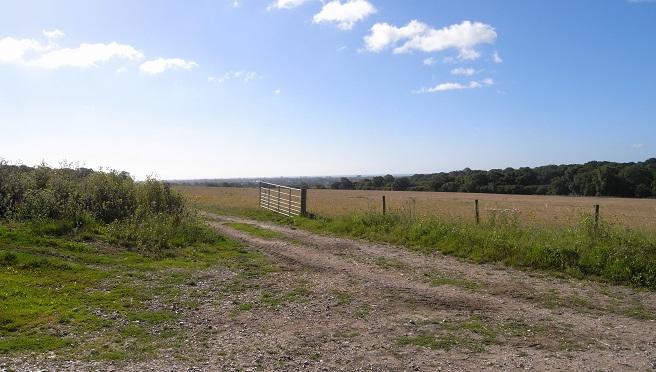 View nearby