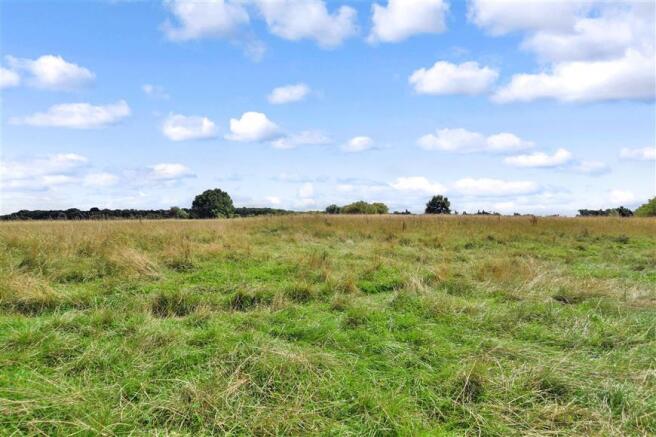 Surrounding Area