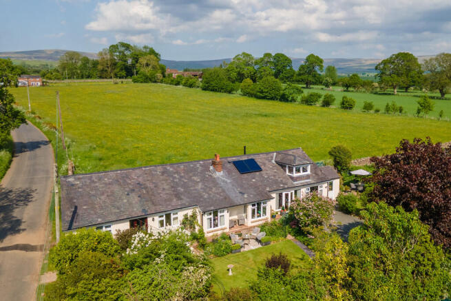 The Property