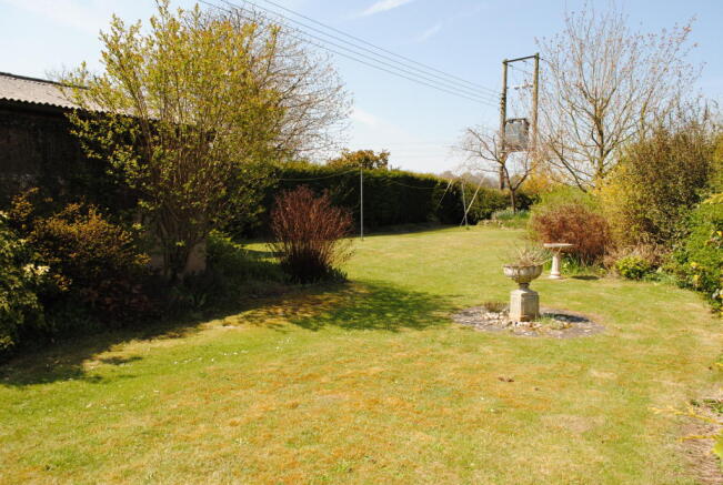 Photo 8