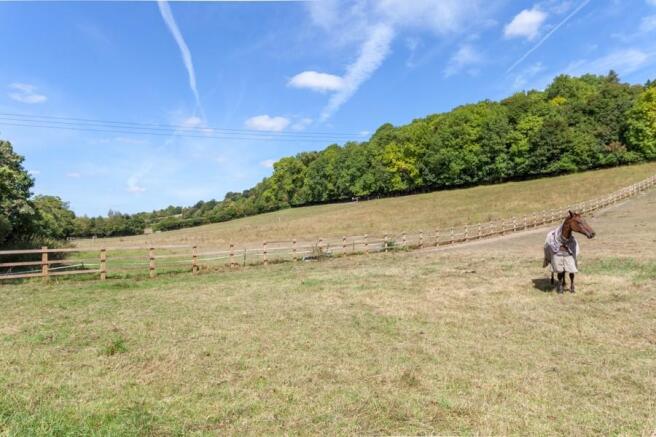 Paddocks