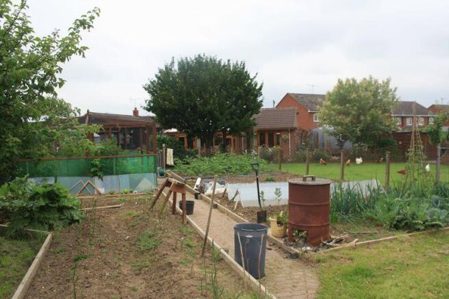 Garden from...