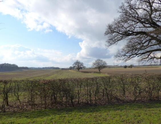 Rural views