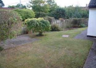 Garden and View