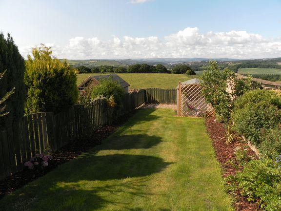lawn