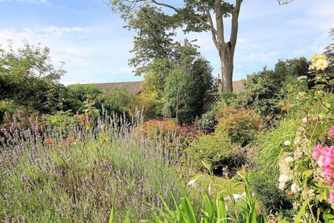 Front garden