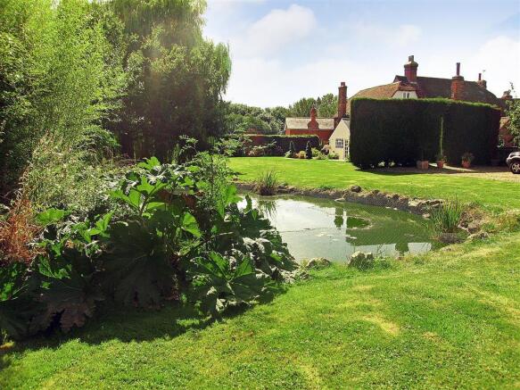 New Pond Shot