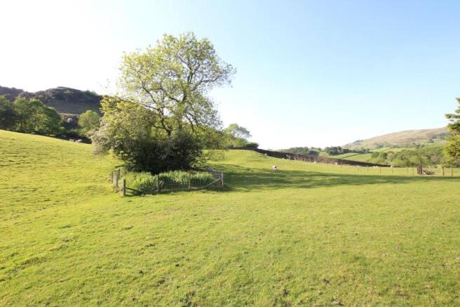 Field