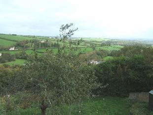 Picture 4