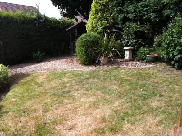 Photo 7