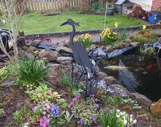 Pond