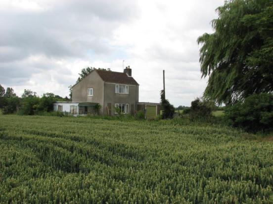 Rear Aspect
