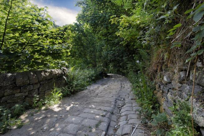 Lane