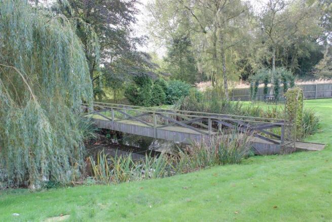 Pond
