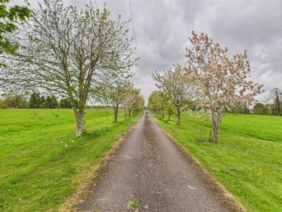 Private Tree Lined Driveway