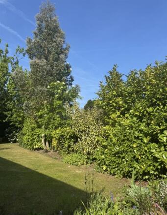 Regal Drive Rear Garden